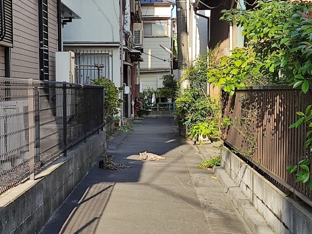 再建築不可物件を売却する方法は？価格相場や注意点も解説の画像