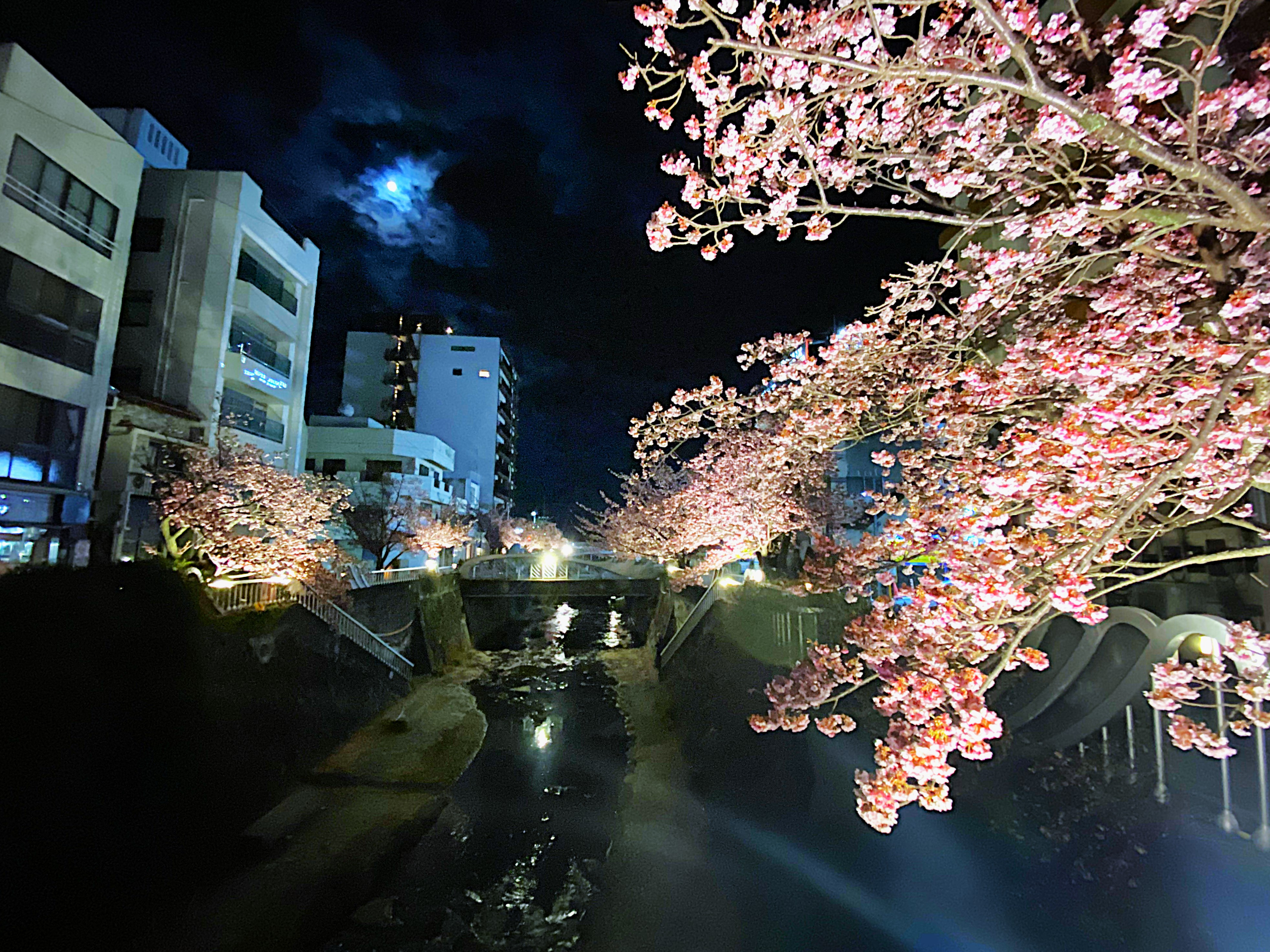 山頂の風景