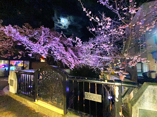 山の風景