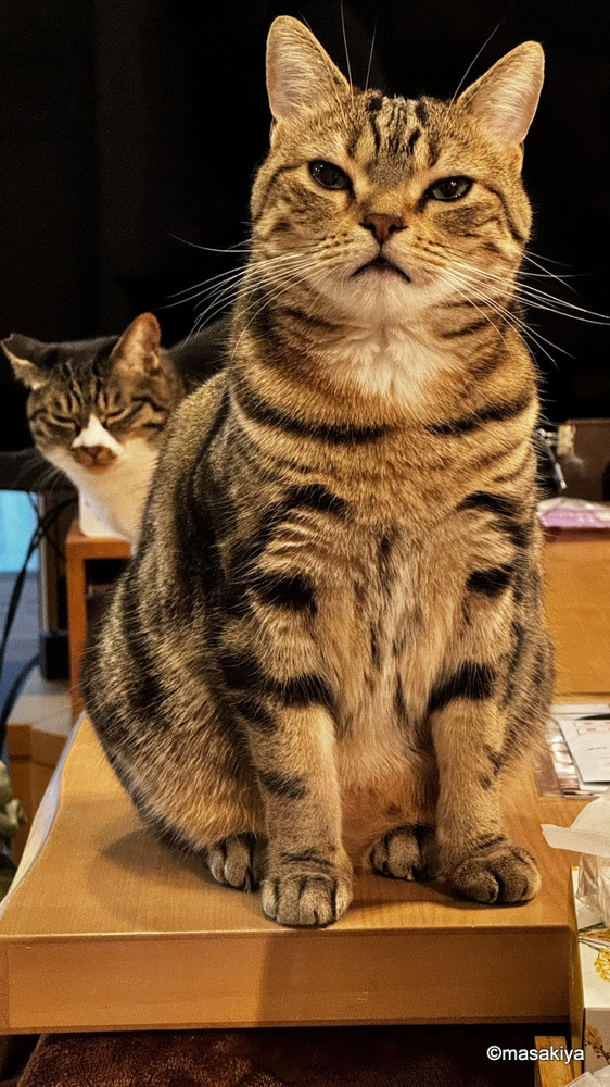 朝ごはんの画像