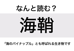 【なんと読む？】「海鞘」の読み方は？「海のパイナップル」の画像