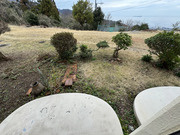 新着物件情報の画像