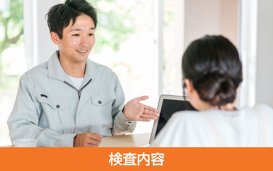 インスペクションの検査内容