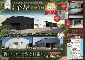 チラシ　new versionの画像