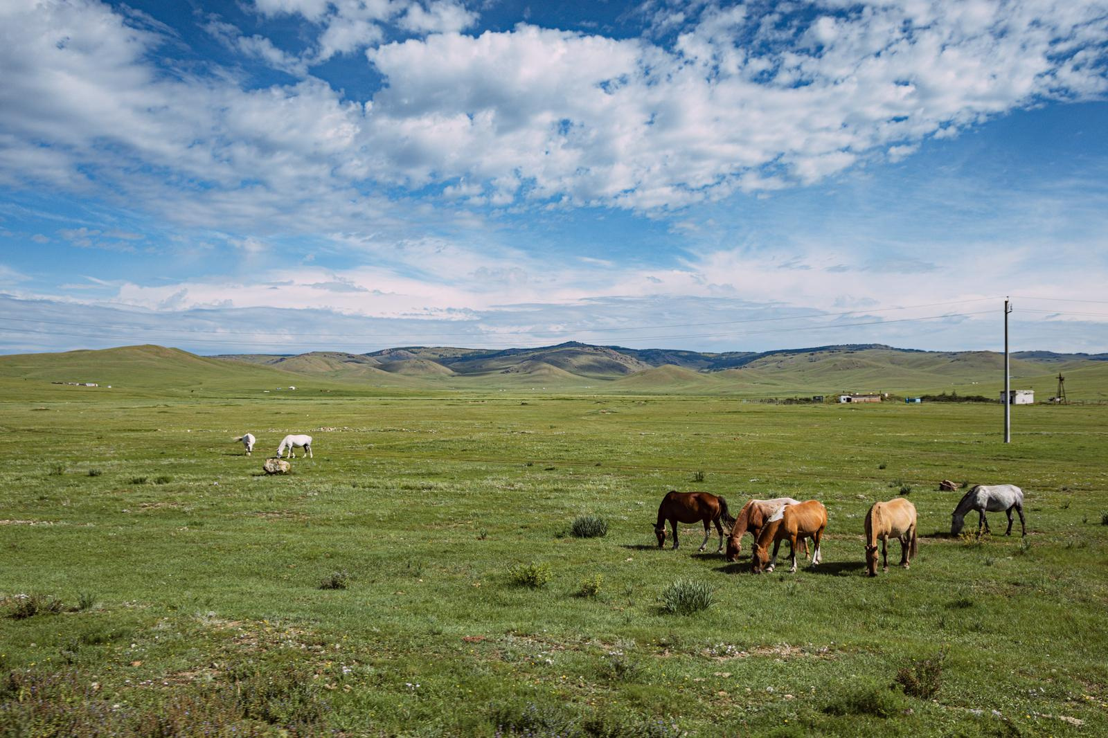大阪市のハザードマップで何を確認するべき？重要なポイントや注意点も解説の画像