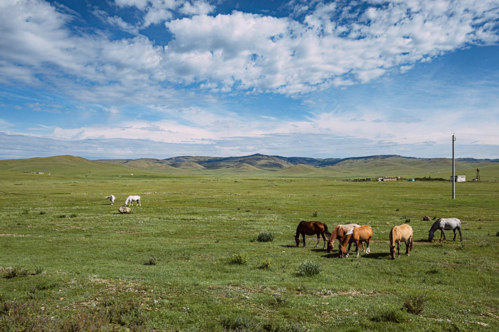 大阪市のハザードマップで何を確認するべき？重要なポイントや注意点も解説の画像