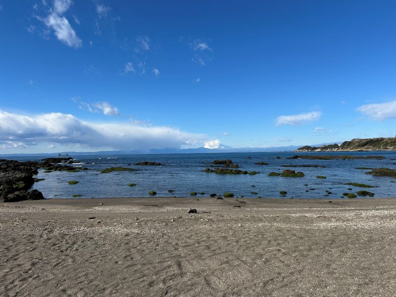 三浦の海の画像