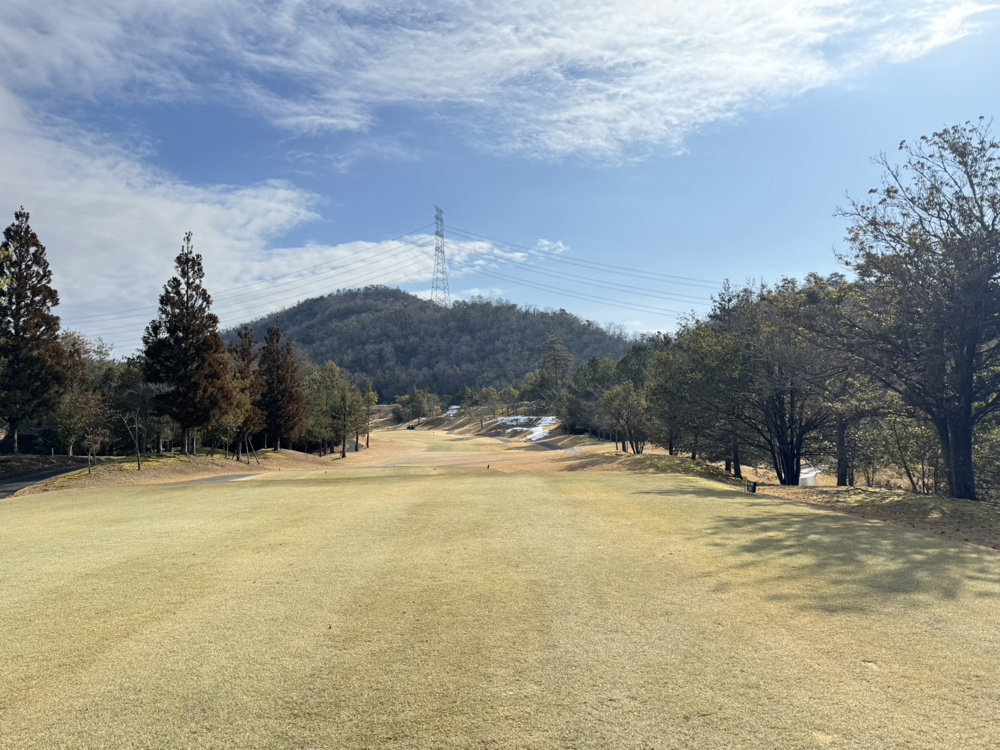 ラウンド⛳の画像