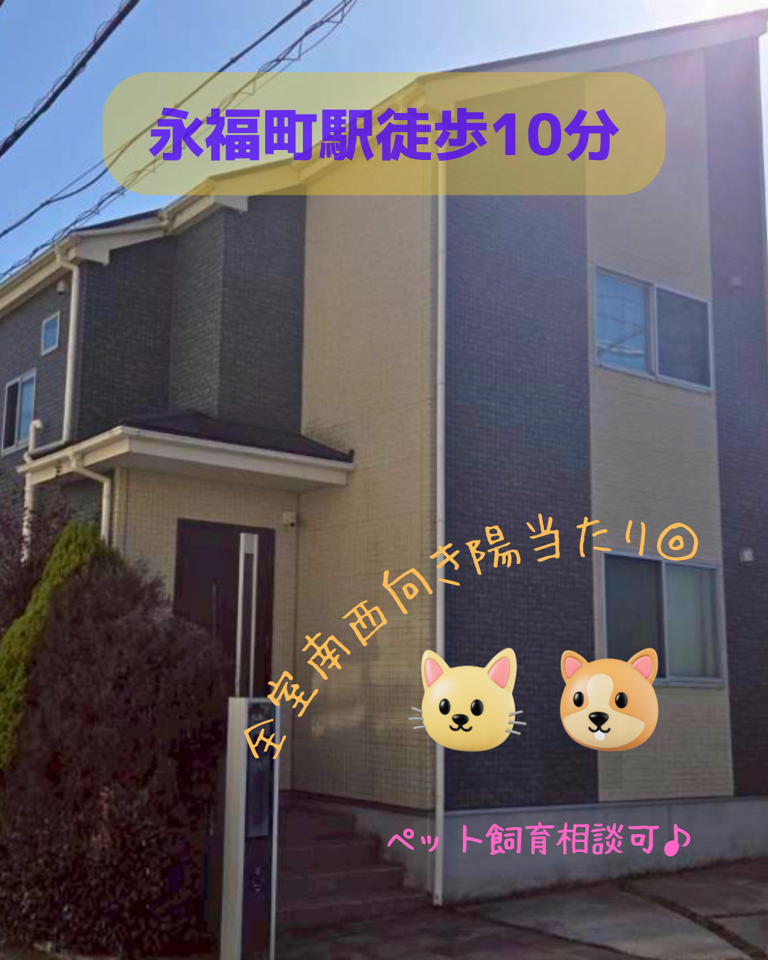 賃貸戸建のご紹介♪（245）の画像