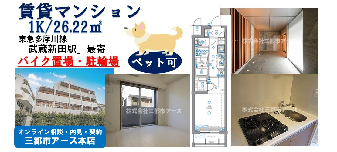 【パティーナ下丸子】ペット可・賃貸マンション・1K・１人暮らし・東急多摩川線・武蔵新田駅