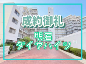 成約情報の画像