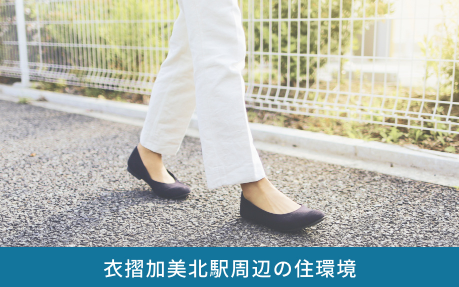 衣摺加美北駅周辺の住環境