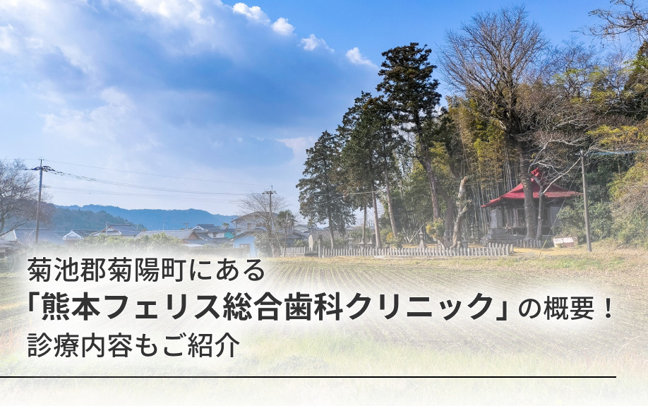 菊池郡菊陽町にある「熊本フェリス総合歯科クリニック」の概要！診療内容もご紹介の画像