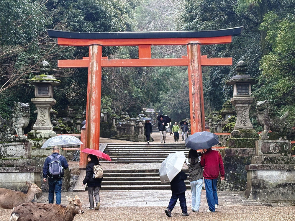 奈良満喫の画像