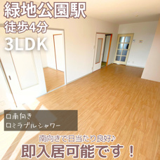 南向きで日当たり良好♪即入居可能！【Uresidence緑地公園】の画像