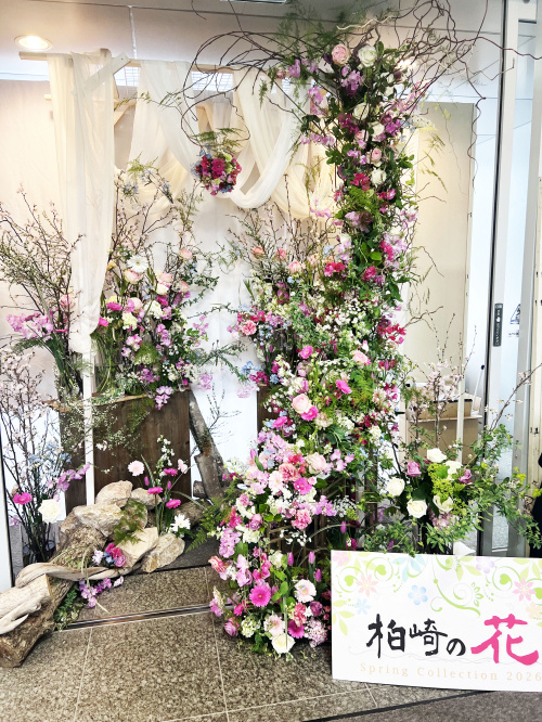 「柏崎の花 Spring Collection」春の訪れ？！の画像