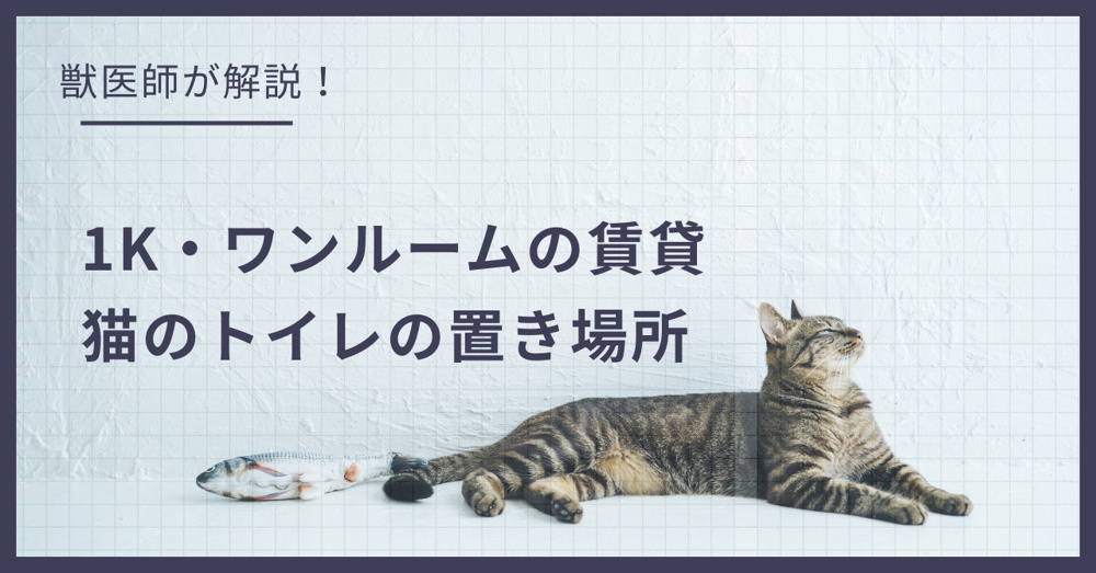 1K・ワンルームの賃貸、猫のトイレはどこに置く？獣医師が勧める配置とニオイ対策の画像