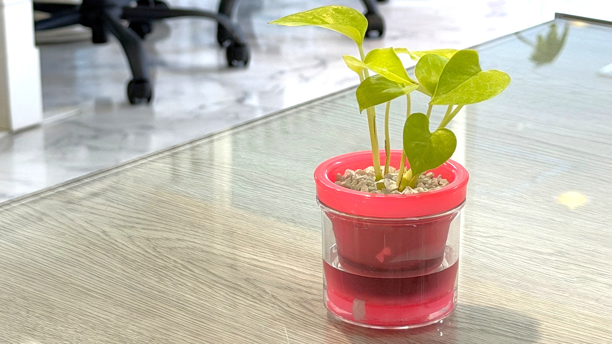 緑のある生活の画像