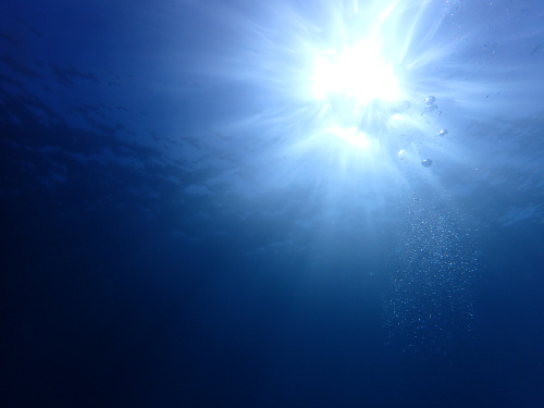 東大前店　高橋です！の画像