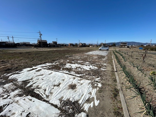 【弥富市不動産売却】農地の画像