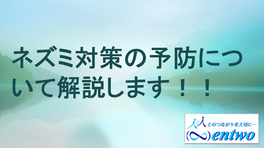 中古物件のネズミ被害が心配な方へ！予防方法や対策のポイントも紹介の画像