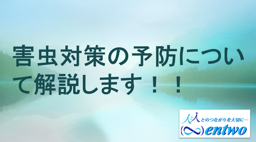名古屋市で中古住宅購入時のゴキブリ対策は必須！害虫リスクと予防のポイントを紹介の画像