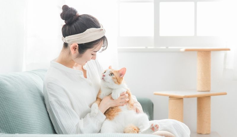 賃貸でペットを飼うと退去費用はどこまで借主負担になる？