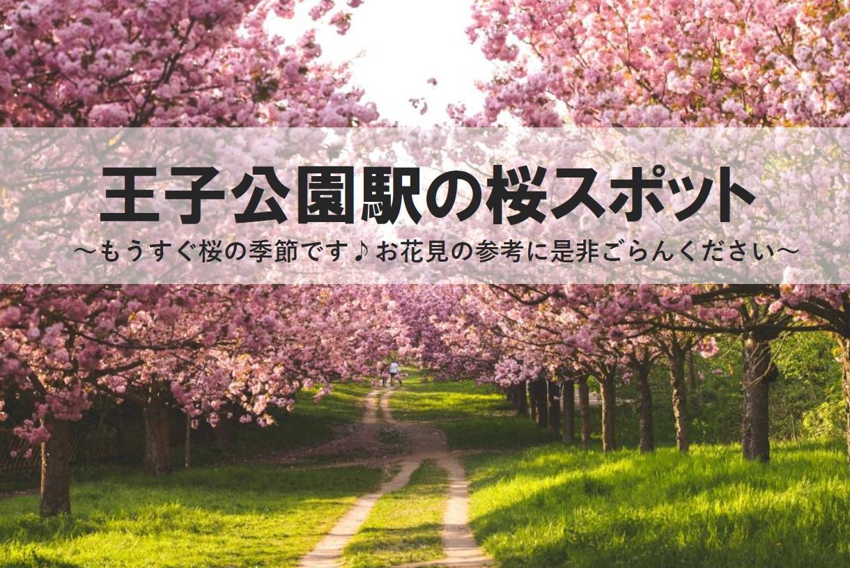 桜スポットで花見を満喫したい方必見！水道筋商店街と神戸市灘区の魅力を紹介の画像