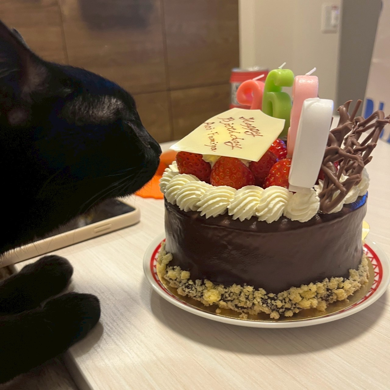 ネ。ー猫の可愛さについてーの画像