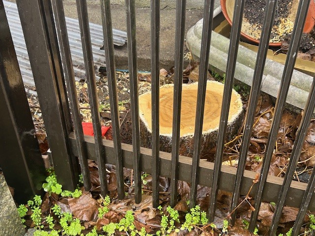 【津島市不動産売却】邪魔者の画像