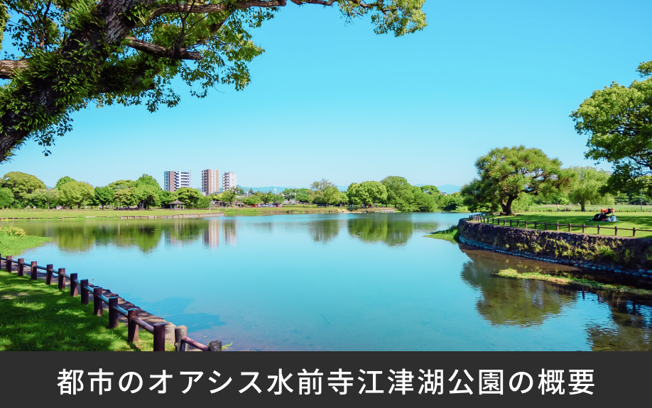 都市のオアシス「水前寺江津湖公園」の概要