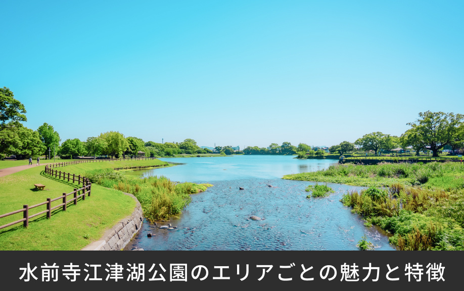 「水前寺江津湖公園」のエリアごとの魅力と特徴