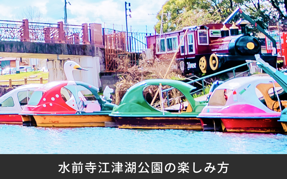 「水前寺江津湖公園」の楽しみ方