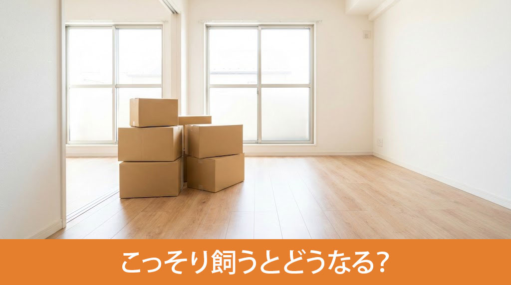 ペット禁止物件でこっそり飼うとどうなる？