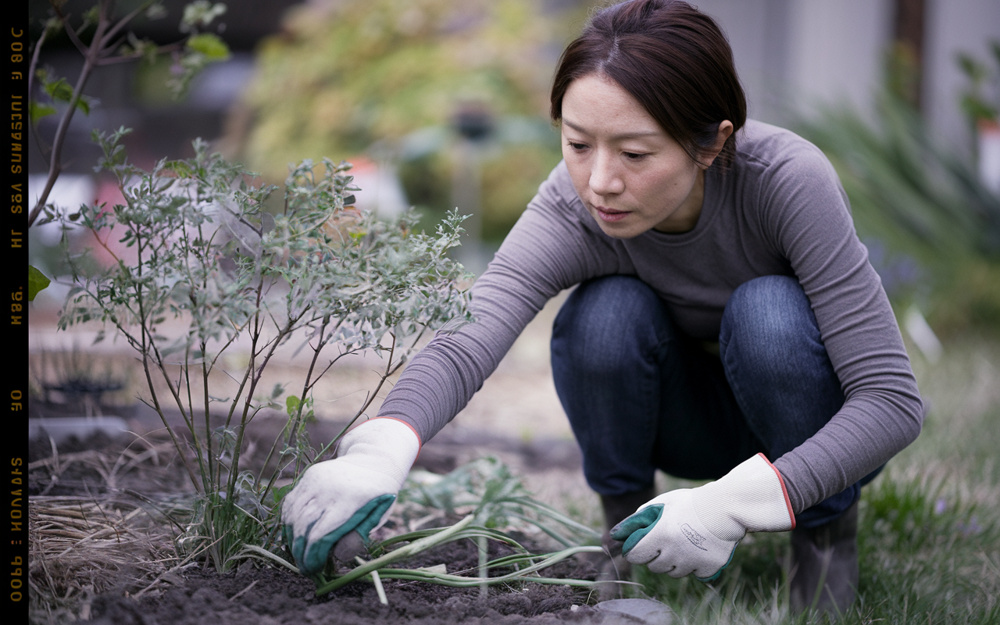 庭木や雑草の管理に悩む方必見！函館市で実践できる方法をご紹介の画像