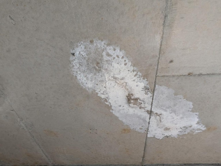 【岐阜市の雨漏り事例】内見中に発覚した“白い粉”の正体とは？屋上防水の劣化が原因でしたの画像