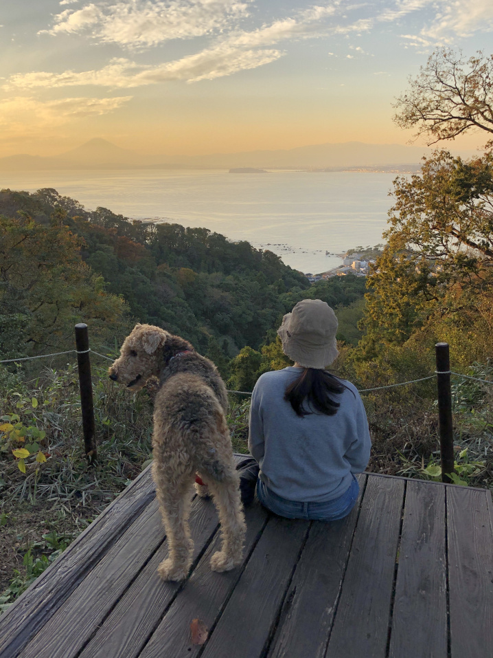 三ヶ岡の散歩の画像