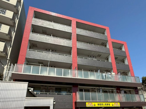 ブーゲンビリア　503の画像