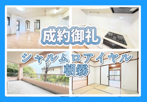 成約情報の画像