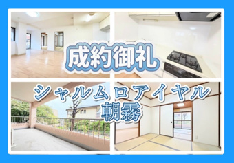 成約情報の画像