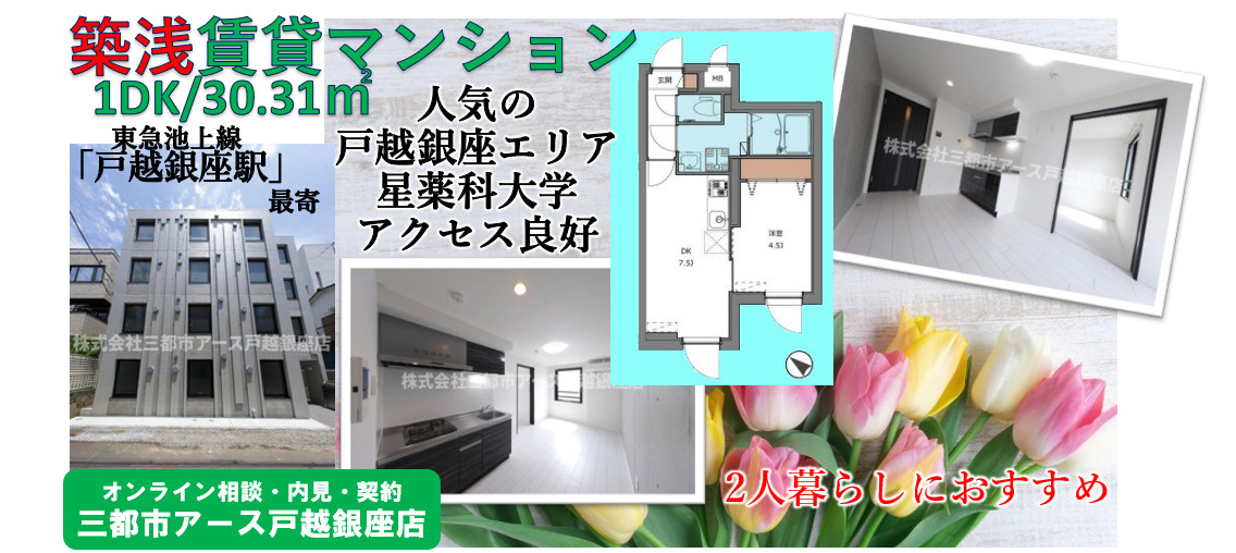 【the togoshiginza】