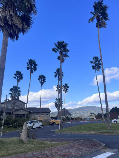 物件紹介の画像