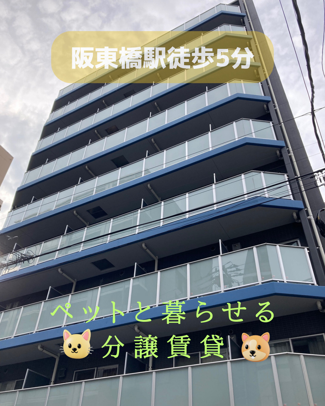 東中野以外の物件のご紹介♪（246）の画像