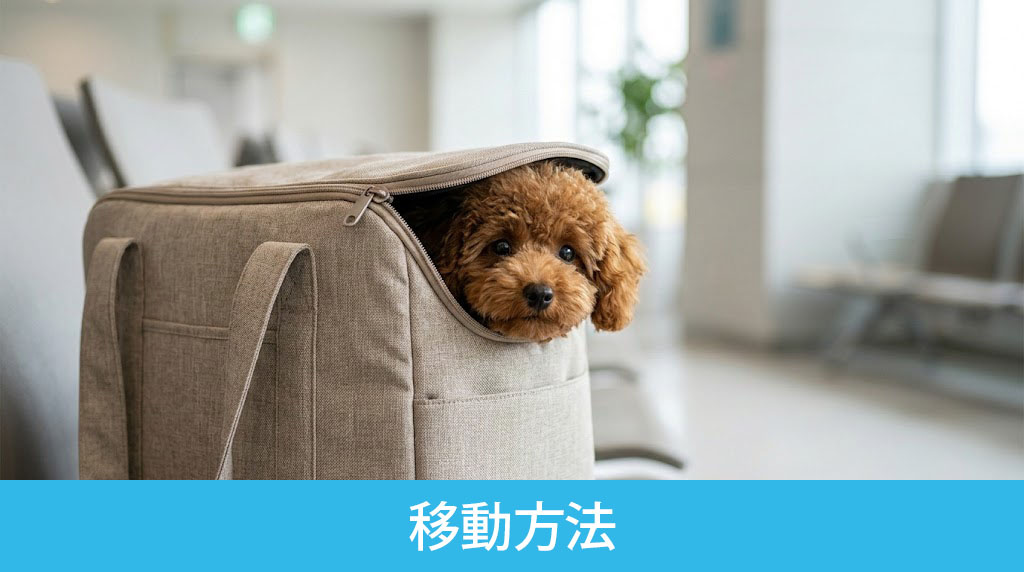 新居へ移動する交通手段の選び方と移動方法