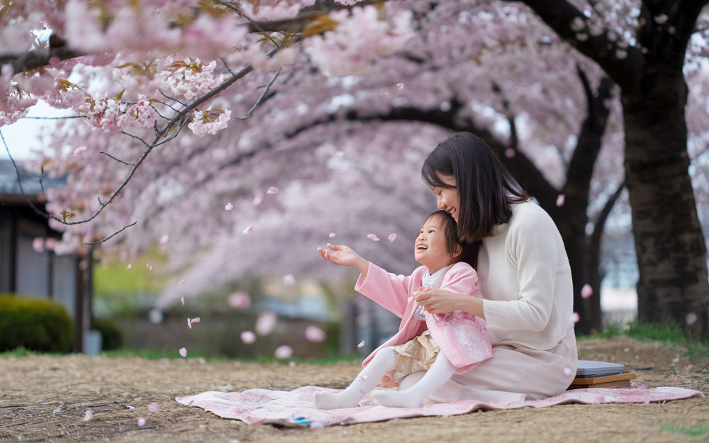 越谷市でお花見するならどこがいい？おすすめスポットや穴場も紹介の画像