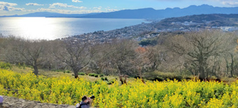 二宮町の新築一戸建て仲介手数料無料で100万円超お得！徹底解説します！の画像