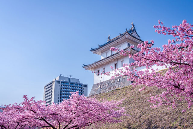 「宇都宮城址公園」の特徴