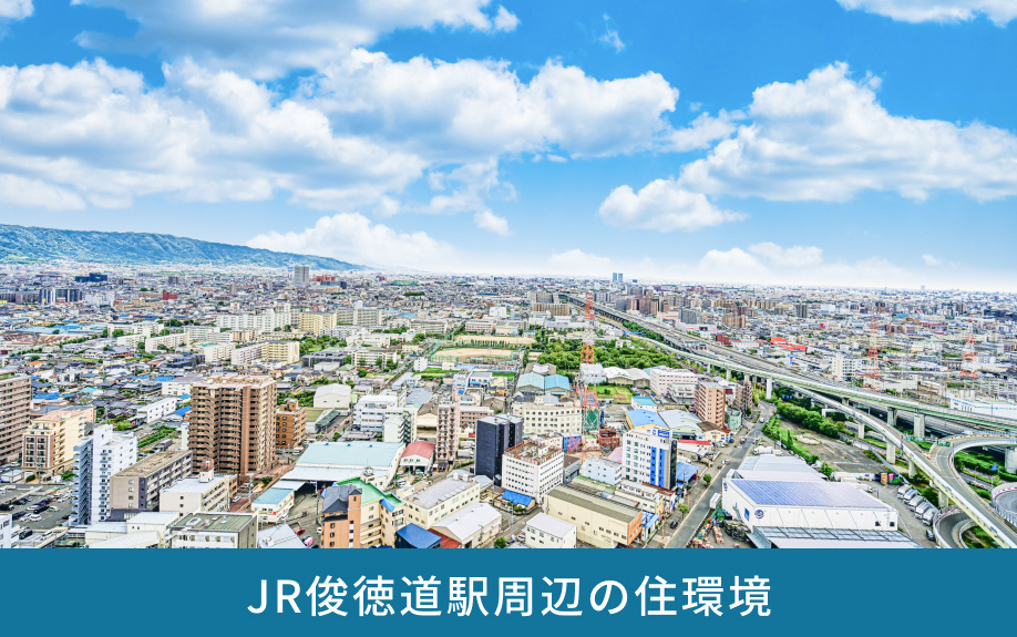 JR俊徳道駅周辺の住環境