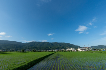 【開成町】新築一戸建て仲介手数料無料で数十万円節約！2,000万円台から探せる魅力物件完全ガイドの画像