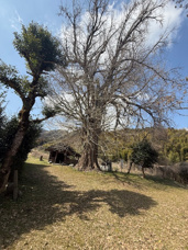 飯塚市の観光名所【飯塚市不動産】マンお勧めの画像